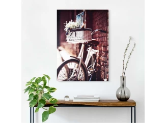 Obraz na plátne Bicykel s košíkom, 50x70 cm