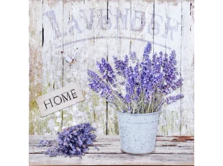 Obraz na plátne Levanduľa zátišie Home, 40x40 cm