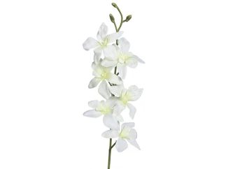 Umelá kvetina Orchidej 64 cm, krémová