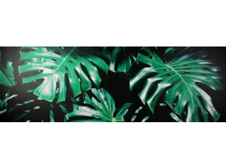 Obraz na plátne Zelené listy na čiernom pozadí, 150x50 cm