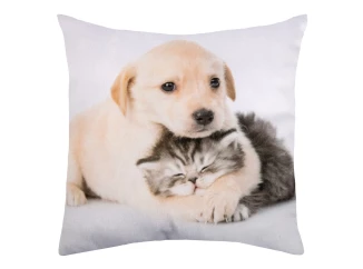 Dekoračný vankúšik Psík s mačičkou, 25x25 cm