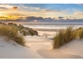 Obraz na plátne Piesočná cesta k moru, 118x78 cm