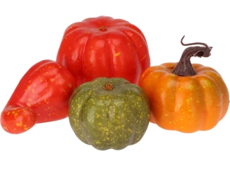 Dekorácia Tekvica v sieťke