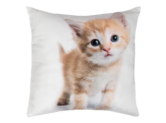 Dekoračný vankúšik Ryšavé mačiatko, 25x25 cm