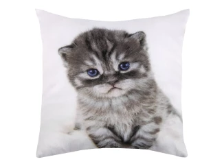 Dekoračný vankúšik Mačiatko s modrými očami, 25x25 cm