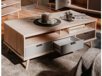 Konferenčný stolík so šuplíkmi Epik, dub/šedý