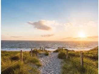 Obraz na plátne Piesočná cesta k moru,  61x46 cm