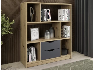 Nízky regál/knižnica Sten Mini, dub artisan/grafit
