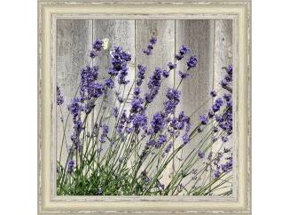 Rámovaný obraz 40x40 cm FAP149