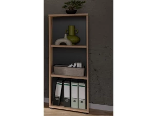 Nízky regál Mason, 40 cm, dub nox/šedý