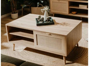 Úložný konferenčný stolík Bali, dub sonoma/výplet