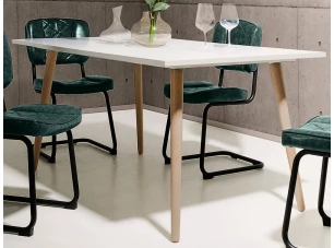 Jedálenský stôl Göteborg 160x90 cm, biela / dub sonoma