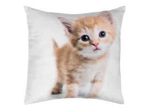 Dekoračný vankúšik Ryšavé mačiatko, 25x25 cm