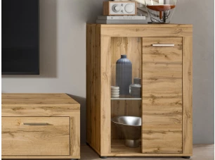 Stojacia/závesná vitrína Jana, 60 cm, dub wotan