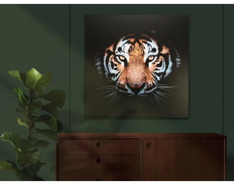 E-shop Obraz na plátne Tigrie pohľad, 80x80 cm%
