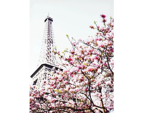 E-shop Obraz na plátne Jar v Paríži, 50x70 cm%