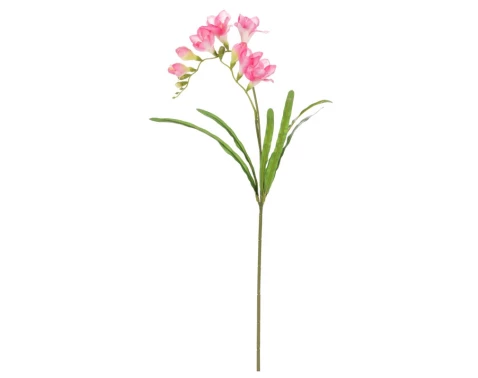 E-shop Umelý kvet Frézia 60 cm, ružová%