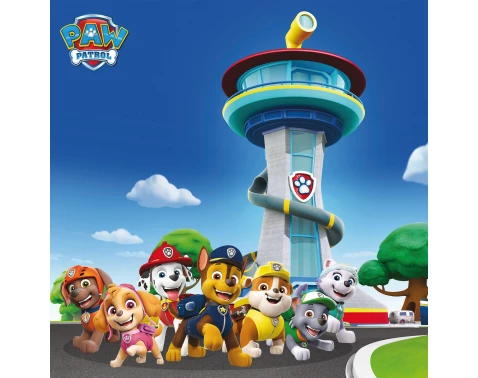 E-shop Detský obraz Paw Patrol veľká partia, 35x35 cm%