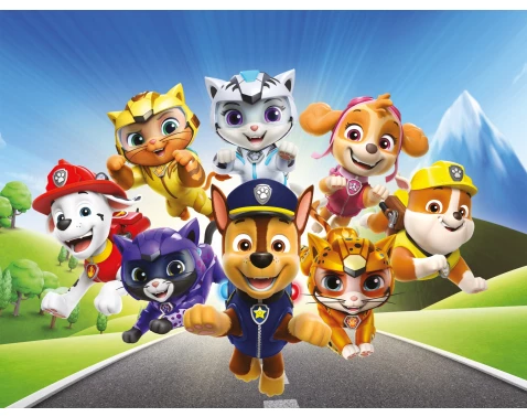 E-shop Detský obraz Paw Patrol na ceste, 61x46 cm%