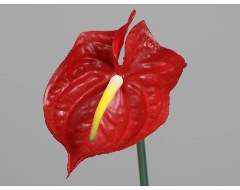 E-shop Umelá kvetina Anthurium 65 cm, červená%