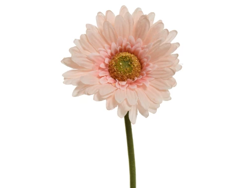 E-shop Umelá kvetina Gerbera 50 cm, broskyňová%