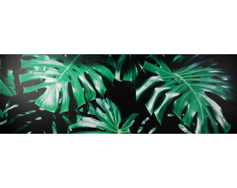 E-shop Obraz na plátne Zelené listy na čiernom pozadí, 150x50 cm%