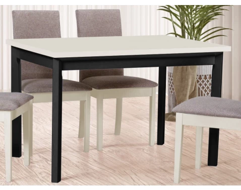 E-shop Obdĺžny jedálenský stôl Maxim 120x80 cm, béžový kašmír/čierny%
