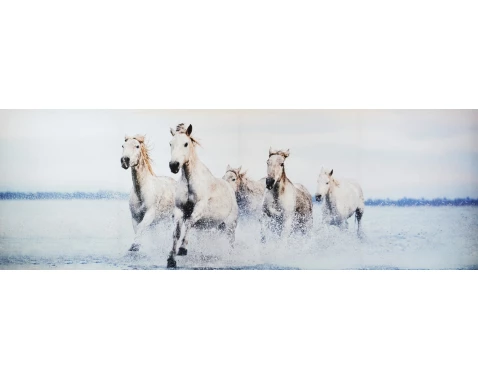E-shop Obraz na plátne Stádo koní, 150x50 cm%