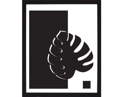 E-shop Rámovaný obraz Čiernobiela rastlinná abstrakcia I, 24x30 cm%
