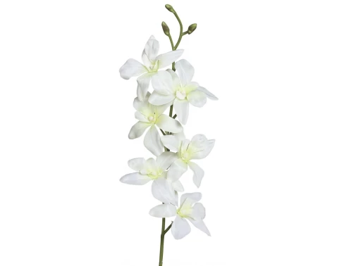 E-shop Umelá kvetina Orchidej 64 cm, krémová%