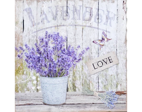 E-shop Obraz na plátne Levanduľa zátišie Love, 40x40 cm%