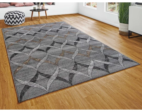 E-shop Koberec Fayno 120x170 cm, šedý%