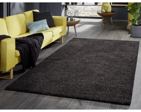 E-shop Koberec Shaggy 120x170 cm, antracitový%