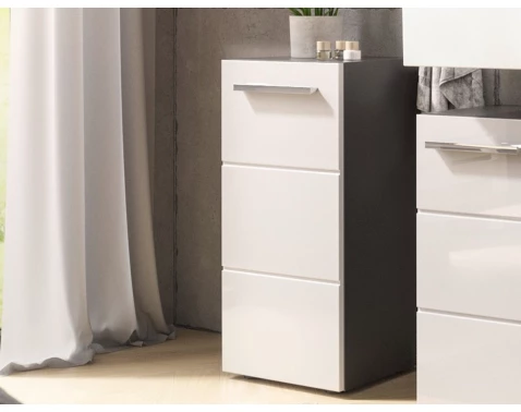 E-shop Kúpeľňová stojacia skrinka Gloss, antracit/biely lesk%