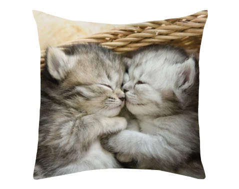 E-shop Dekoračný vankúšik Spiace mačiatka, 25x25 cm%