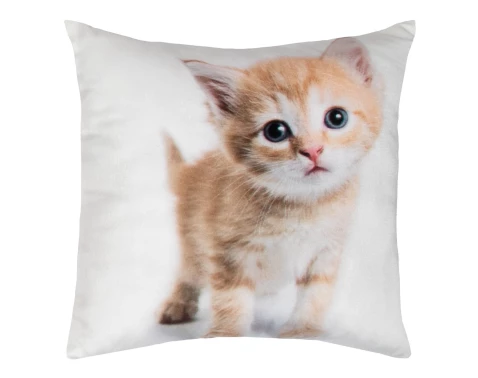 E-shop Dekoračný vankúšik Ryšavé mačiatko, 25x25 cm%