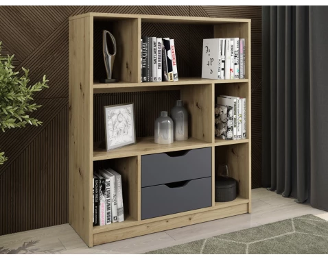 E-shop Nízky regál/knižnica Sten Mini, dub artisan/grafit%