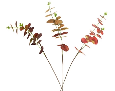 E-shop Umelá kvetina Eukalyptus, 51 cm%