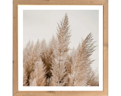 E-shop Rámovaný obraz Pampas 35x35 cm, dub artisan%