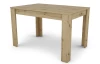 Jedálenský stôl Adam 120x80 cm, dub artisan, rozkladací
