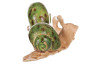 Dekoračná soška Keramický zelený slimák, mix 2 druhov