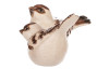 Dekoračná soška Keramický hnedý vtáčik, mix 2 druhov