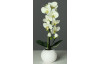 Umelá kvetina Orchidea v kvetináči, krémovo-zelená