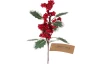 Vianočná kvetina Cezmína 30 cm, červená