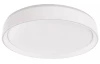 Stropné LED osvetlenie Ilvi 40 cm, stmievateľné s ovládačom