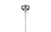 Luster Leavy R10464001