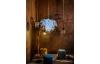 Luster Leavy R10464001