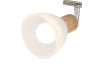 Stropné LED osvetlenie Daytona 25 cm, svetlý dub/biele sklo, 2 svietidlá