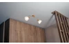 Stropné LED osvetlenie Daytona 25 cm, svetlý dub/biele sklo, 2 svietidlá