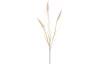 Umelá kvetina Vetva pšenice 75 cm, krémová
